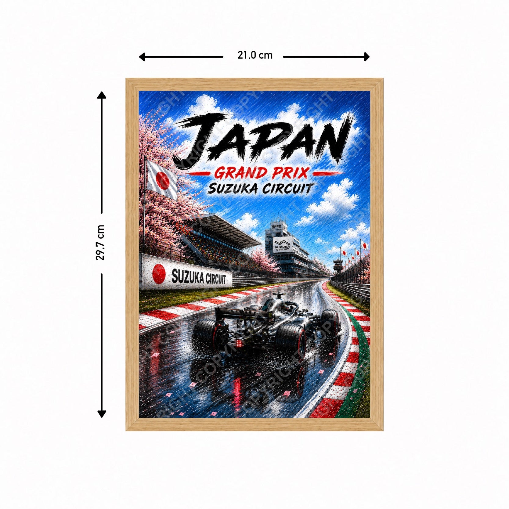 Japan - Suzuka Illustrated Edition